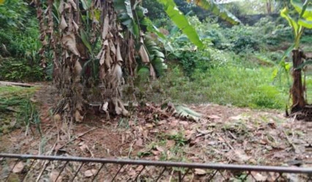 21.5 Perches Land Rectangular Block in Central Location Rajagiriya