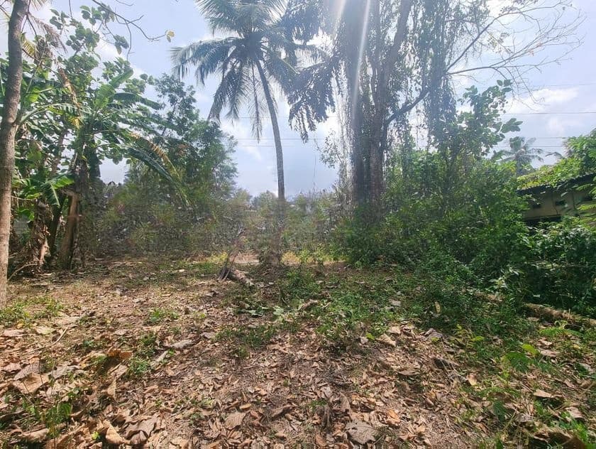 Land for Sale in Minuwangoda