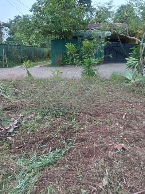 Land for Sale Talawathugoda