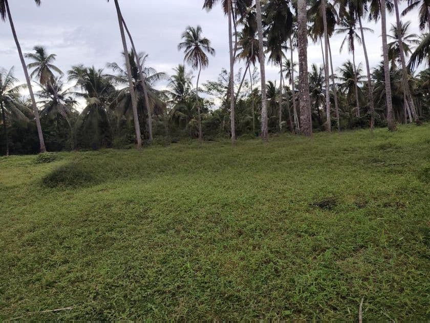 අත්තනගල්ල නුවර පාරට ආසන්නයේ සුපරි ඉඩමක් විකිණීමට
