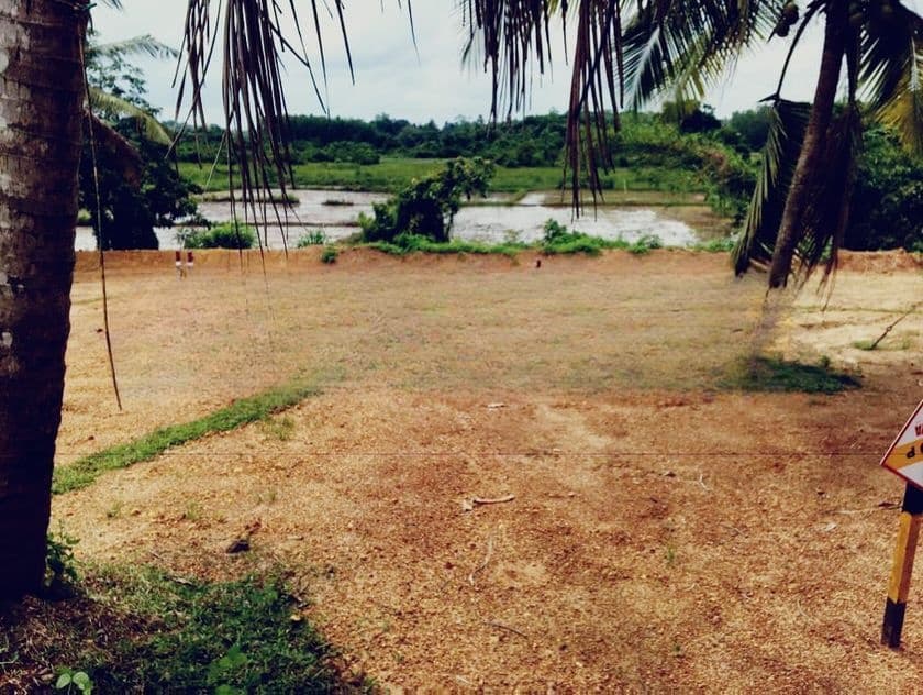 පනාගොඩින් පර්චස් 6 ඉඩම් කොටස්