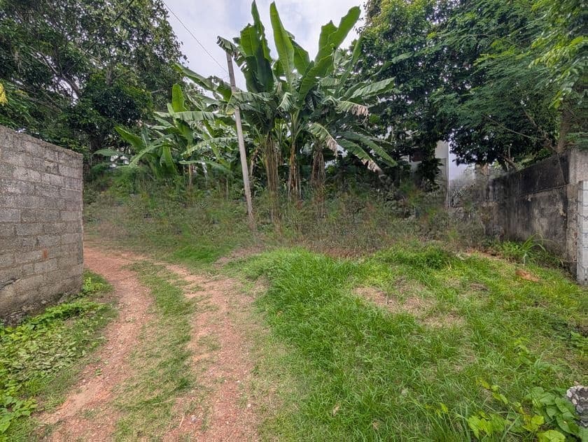 Land for Sale in Mount Lavinia