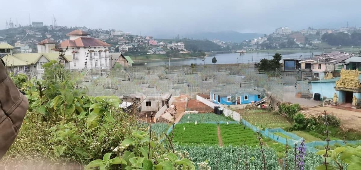 Farming land for Sale – Nuwara Eliya (Town Side)