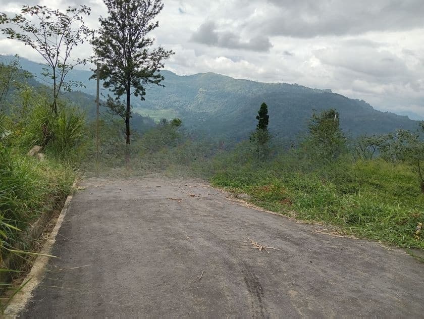 Nuwaraeliya Road Pundaluoya Land