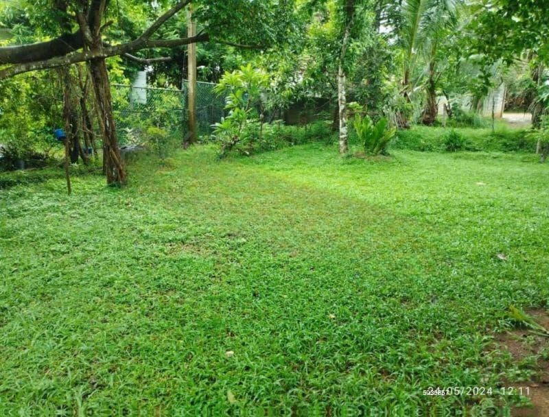 Kadawatha 12.5 Perches Land for Sale (SSPL-491)