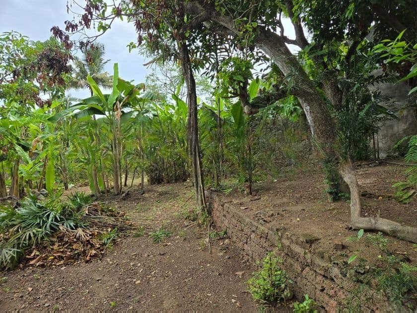 Land for Sale Nawala