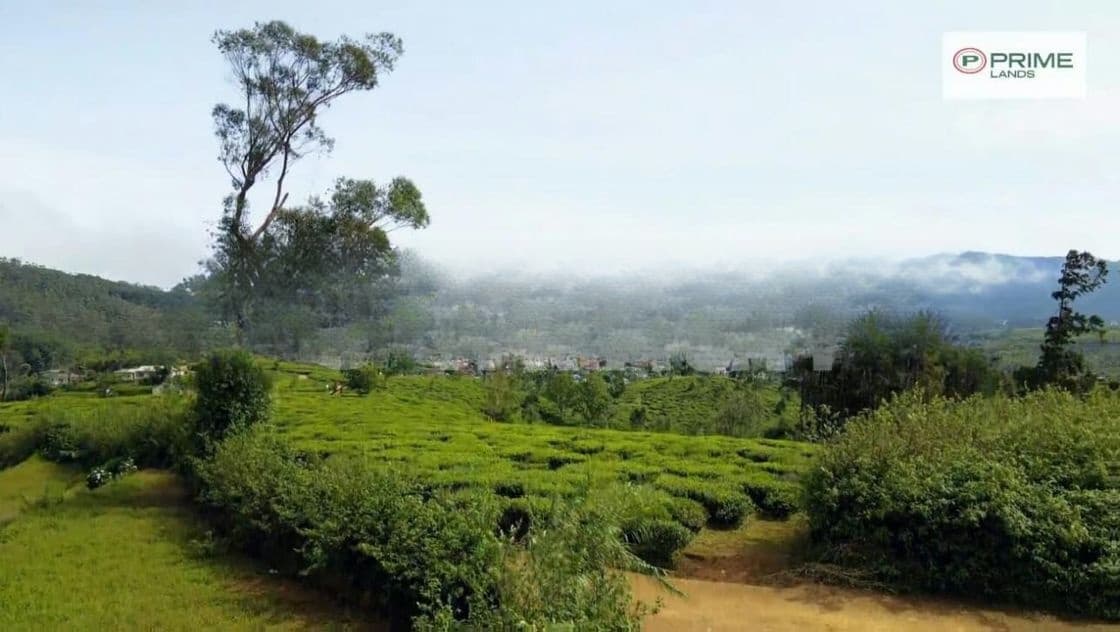 Land for Sale Nuwara Eliya Road