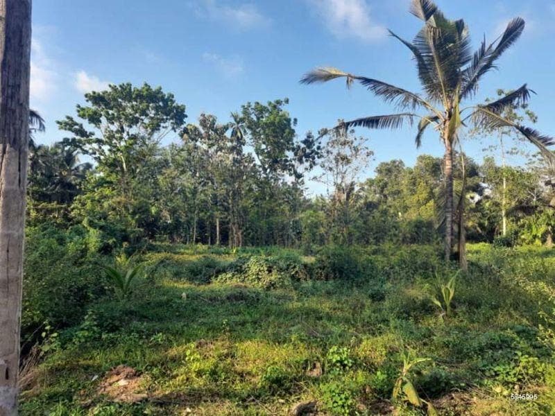 Commercial cum Residential Land in Ambanwita, Gampaha.