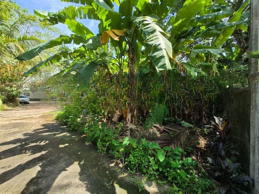 6P Commercial Bare Land For Sale In Thalawathugoda