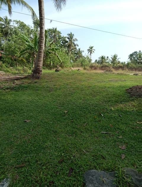 240 perch Land For Sale Minuwangoda Gampaha