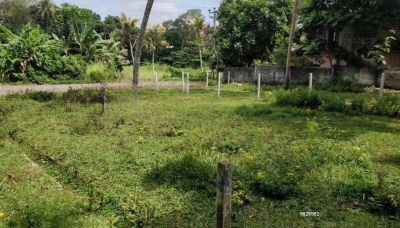 FOR SALE: Superb 9 Perch Bolgoda Bare Land