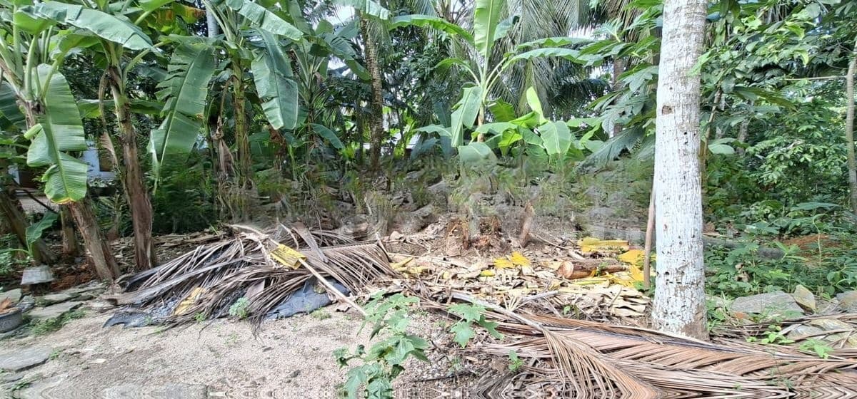 Land for Sale Boralesgamuwa Nilammahara
