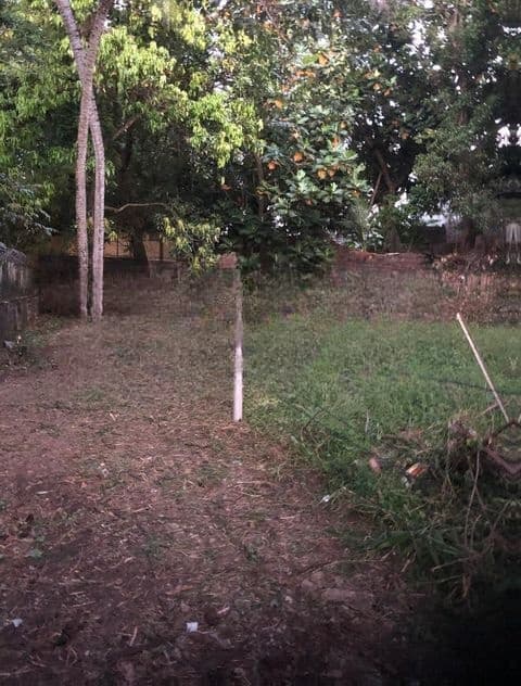 Nawala : 8.55 perches Land for Sale at De Mel watta road