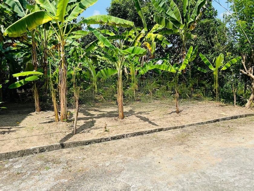 Best Land for Sale Kottawa
