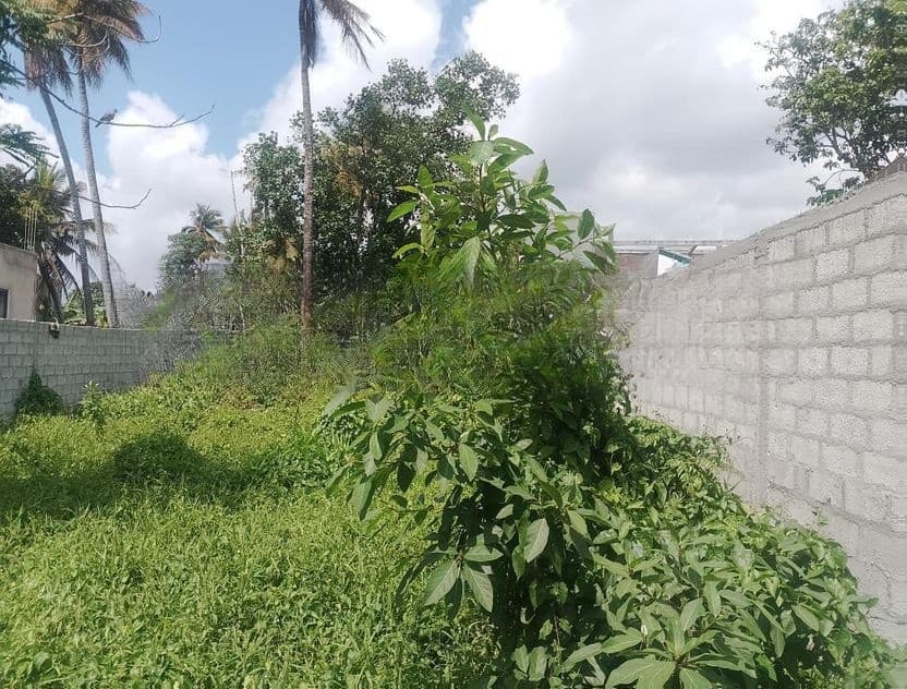 Land for Sale in Katubedda Moratuwa