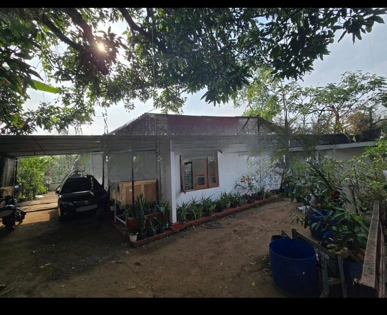Land With A Old House For Sale In Attidiya - CL839