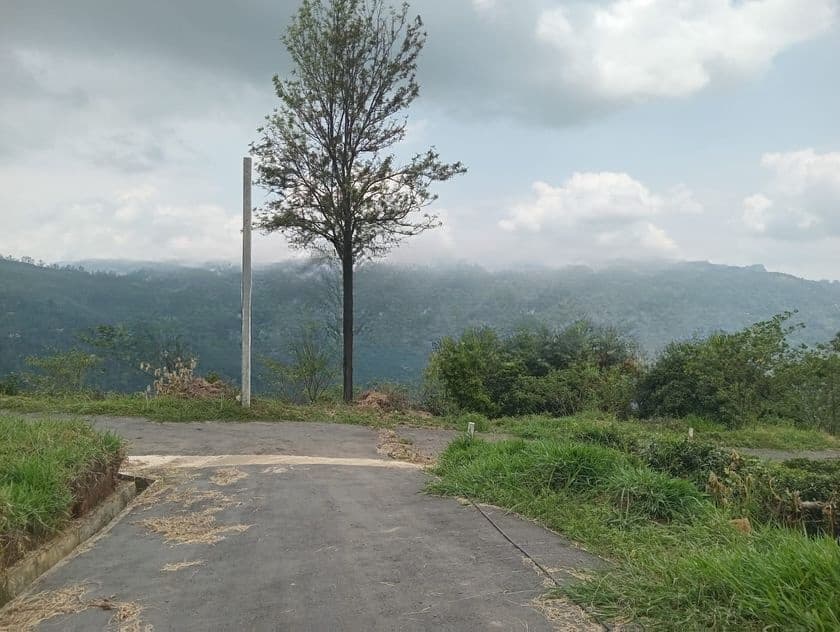 Land for Sale in Nuwaraeliya
