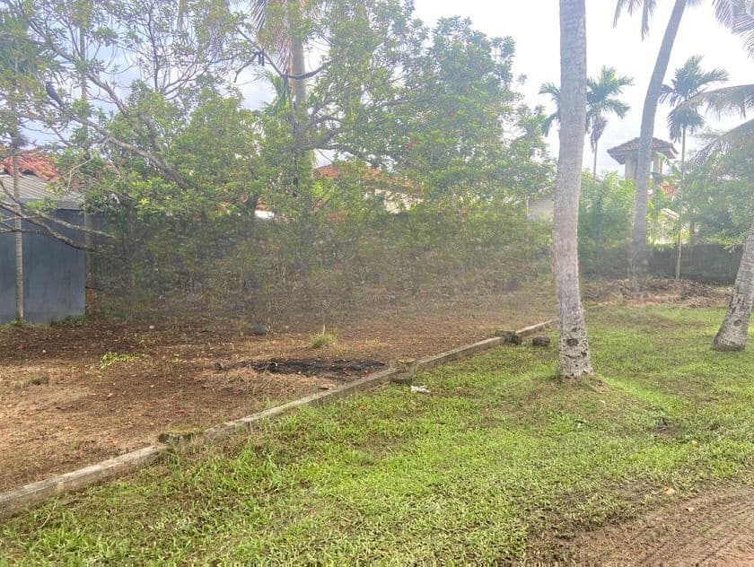 40 Perch Land with House Sale in Dalupotha