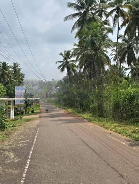 Land For Sale in Ja-Ela BOLLATHA