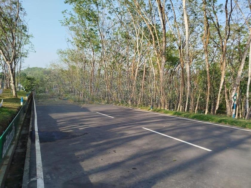 තලගල බෙරුකැටිය බිම් කොටස් විකිණීමට