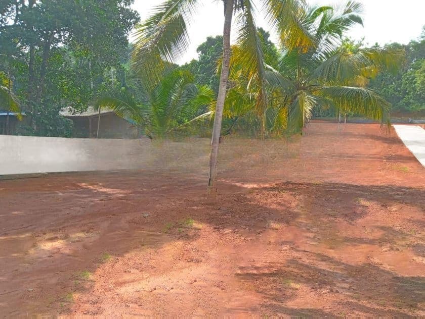 Land for Sale in Giriulla ( S )