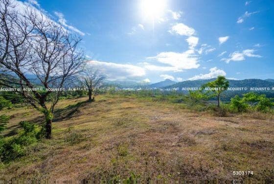 Land for Sale - Digana | LKR 100,000,000