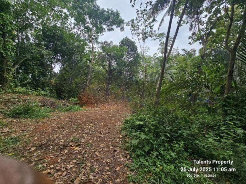 Land with House for Sale in Athurugiriya | 56 Perches - Paddy Field View | LKR 45 Million | Ref: KO-887