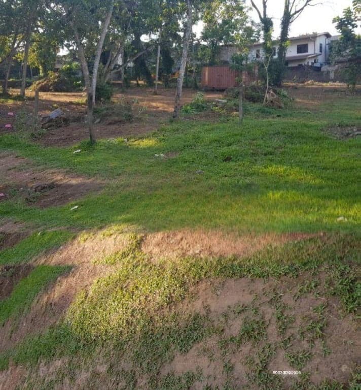 90 Perches Land for Sale in Lake Road - Pelawatta | LKR 3.4 Million Per Perch - KO-484