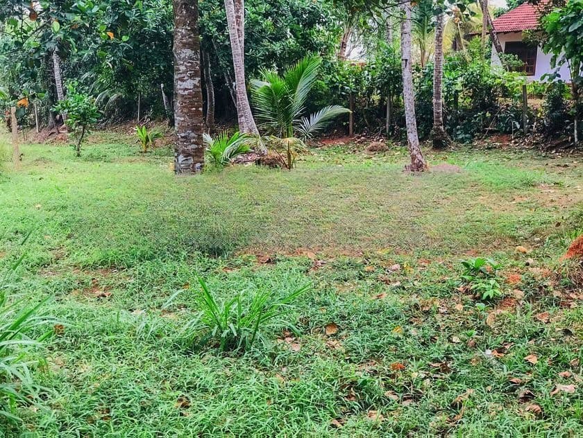 Land for Sale in Gampaha