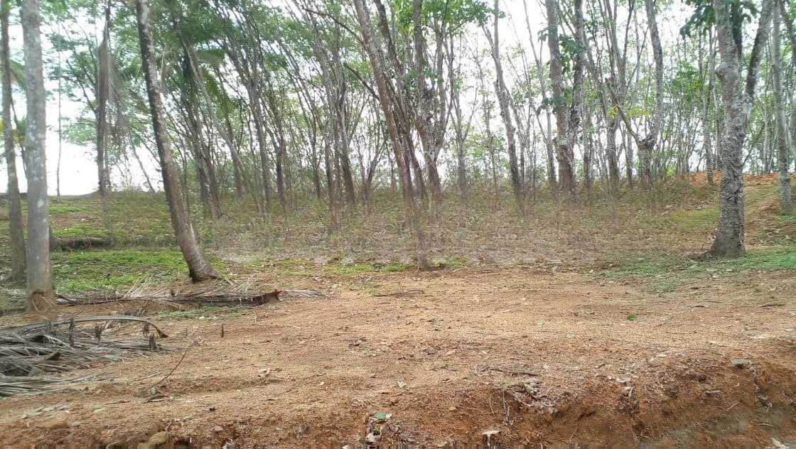 Land for Sale in Near Ahangama