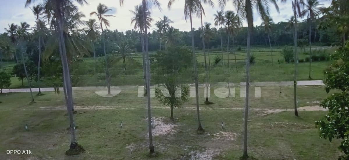 Land In Wariyapola