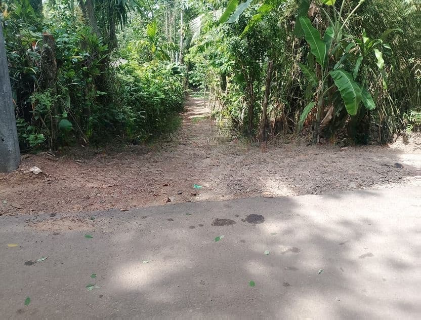 Valuable Land for Sale in Kadawatha
