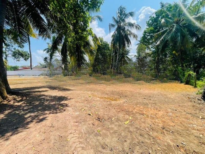 Best Land Plot for Sale in Welisara Mahabage