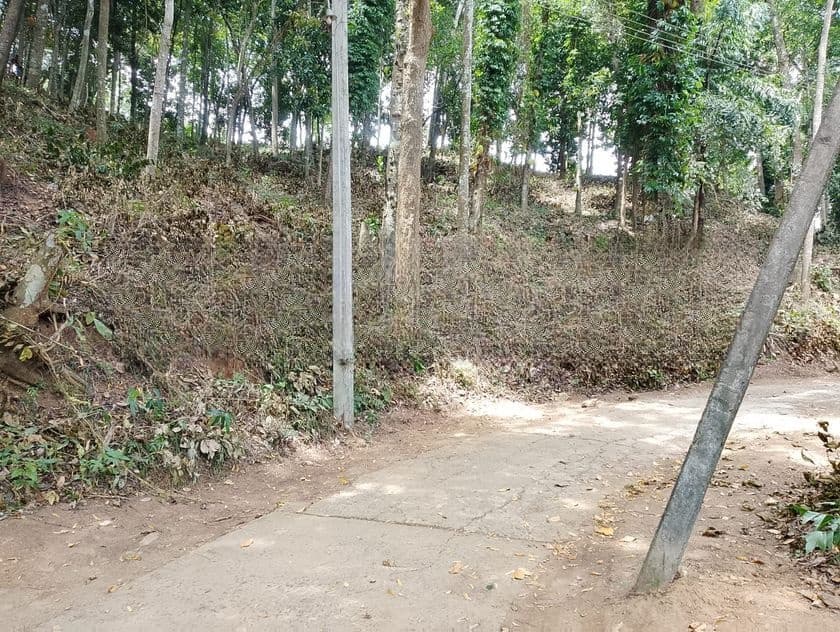 Land for Sale in Digana, Kandy