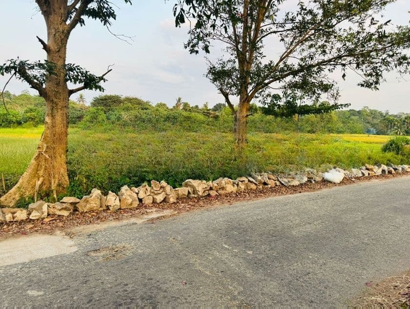 Paddy Field Facing Land for Sale Battaramulla DS3447