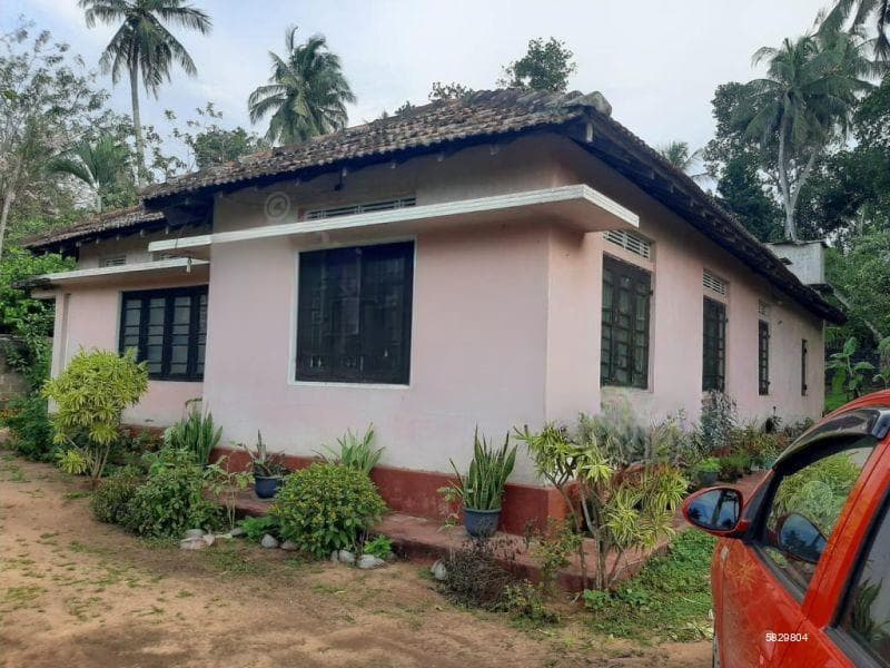 Negombo/kochchikade Town Limits House For Rent Or Lease.