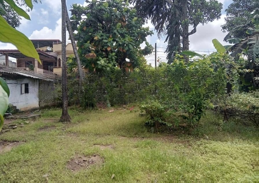 Dematagoda 35 P Premium Flat Land for Sale