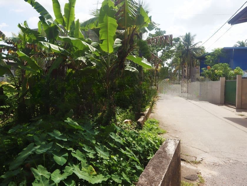 Kelaniya Land for Sale