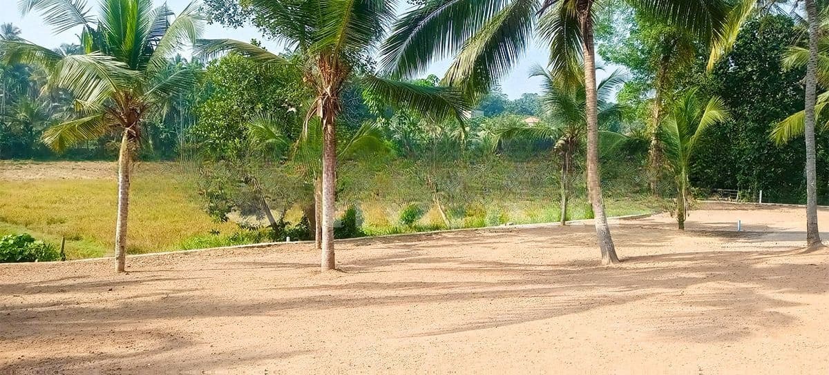 Land In Weboda
