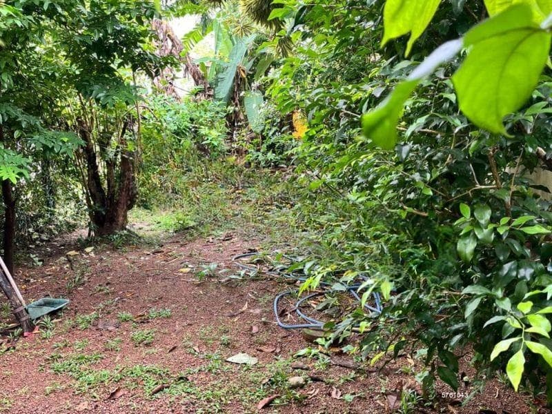 Land for Sale - Colombo 05 | LKR 85,500,000