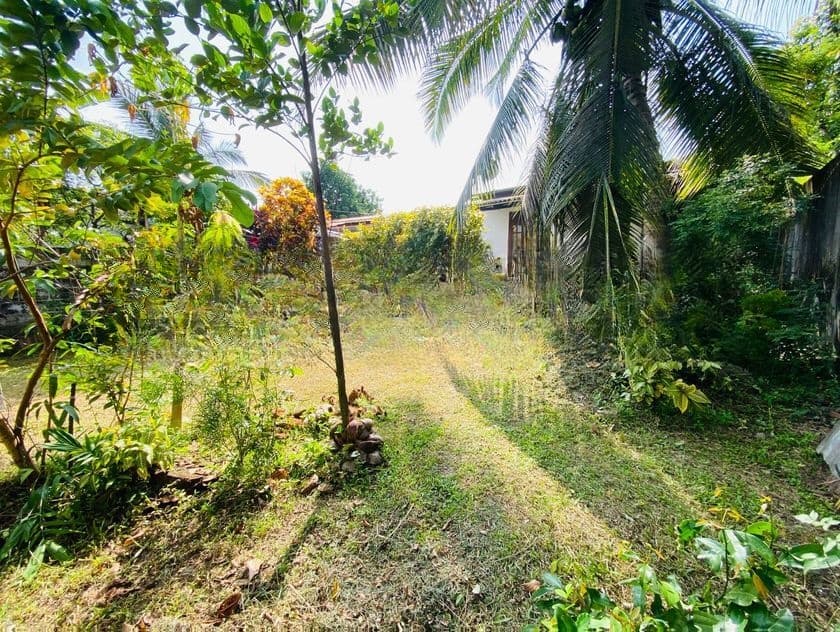 Land with House for Sale in Piliyandala 100M to Bus Root WR0520