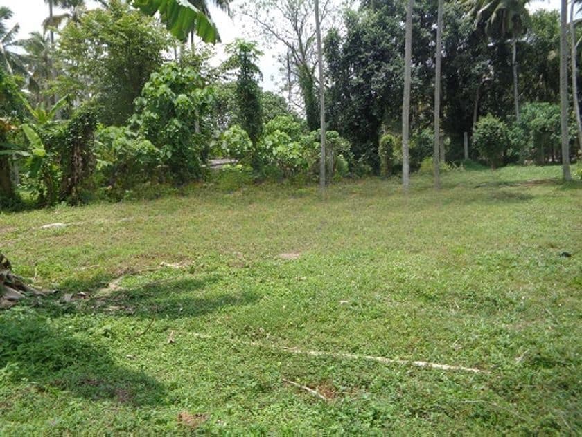 Minuwangoda Kotugoda 40 Container Access Land on Sale Warehouse Factory