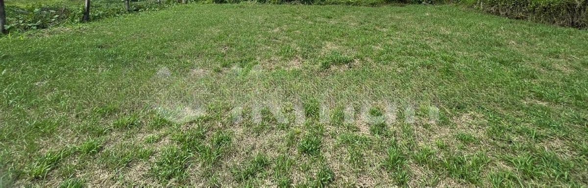 Nawala : 8.75 perches Land for Sale at Old Road