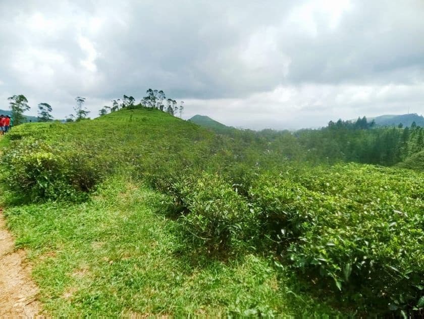 හැටන් කදු පන්තිය පෙනෙන මානයේ අගනා බිම් කොටස් කිහිපයක්