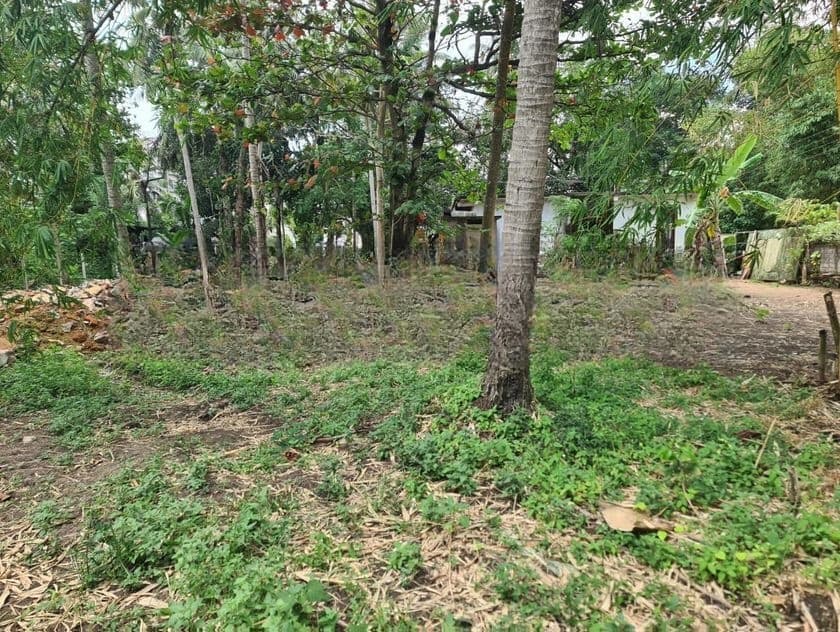 Commercial Property for sale in Rajasinghe Mawatha,Malabe -(LS2000)