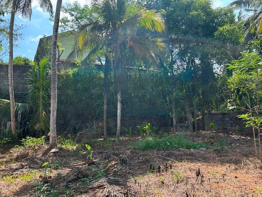 Prime Residential Land for Sale – Katuwana Road, Homagama