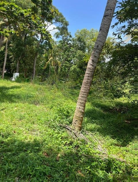 Land Sale in Malabe