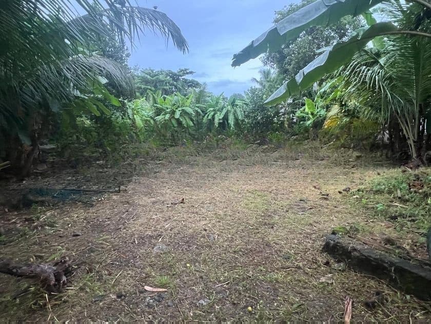 කැළණි පුදබිම පෙනෙන මානයේ ඉඩමක්