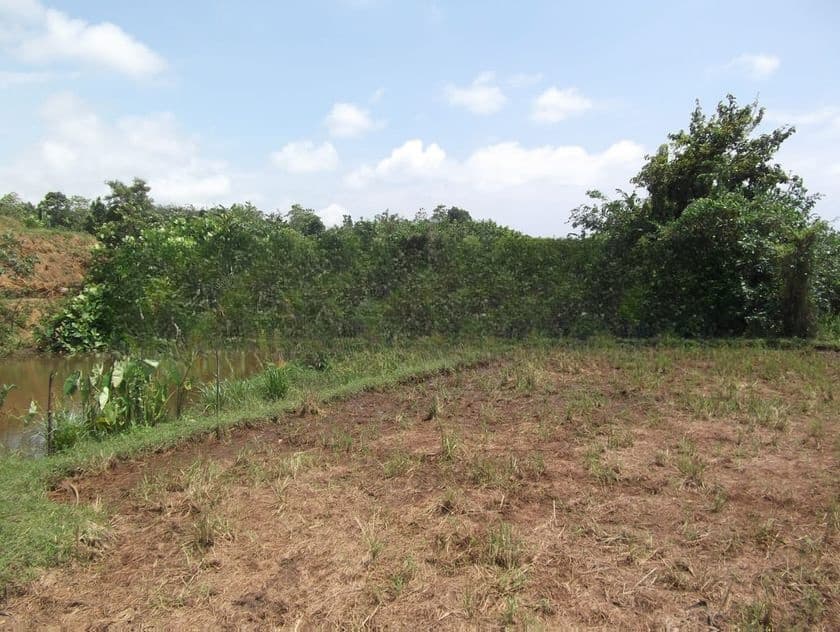Land for sale Peliyagoda
