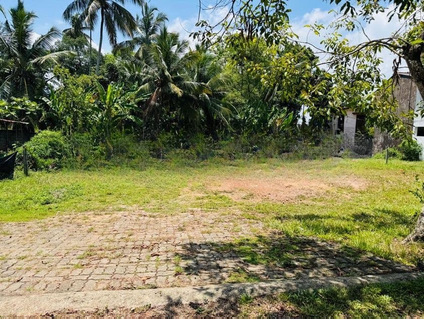 නේවාසික පරිසරයකින් පර්.25 ක ඉඩමක් විකිණීමට - Piliyandala Kesbewa